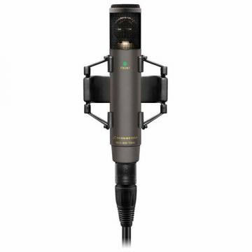 Sennheiser MKH 800 TWIN NX