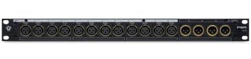 Black Lion Audio PBR XLR